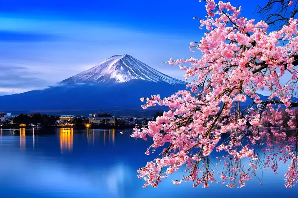 From Tokyo: Mount Fuji & Hakone Full Day Private Tour - Mount Fuji Subaru Line 5th Station: high altitude, big viewpoint time