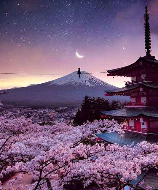 From Tokyo: Mount Fuji & Hakone Full Day Private Tour - Kitaguchi-hongu Fuji Sengen Shrine: where the day turns spiritual