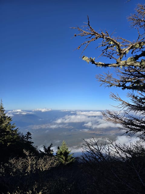 From Tokyo: Mount Fuji & Hakone Full Day Private Tour - Hakone’s Owakudani Valley: geothermal drama in a tight window