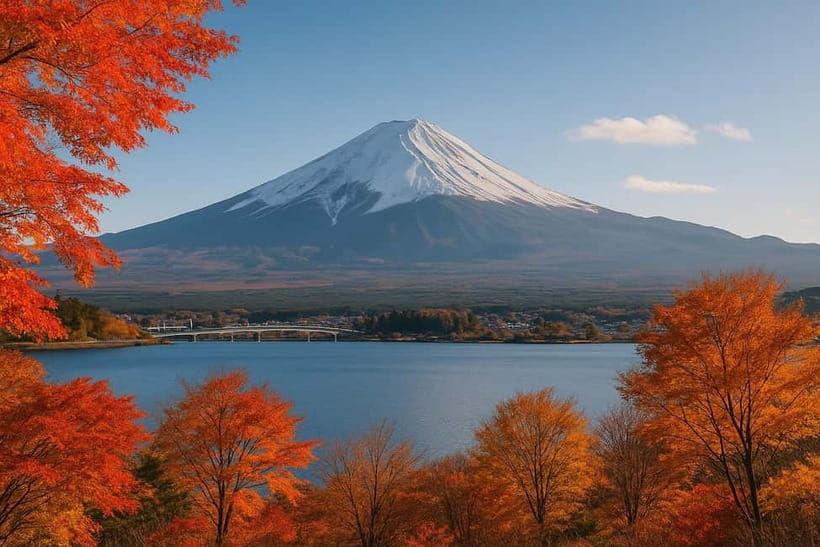 From Tokyo: Mount Fuji One-Day Private Customizable Tour - Price and Logistics: Is $271 per Person Good Value?