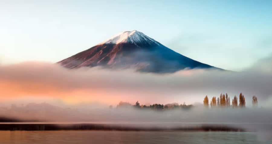 From Tokyo : Mount Fuji Private Day Tour with English Driver - What to Bring, What to Skip, and How to Prep Fast