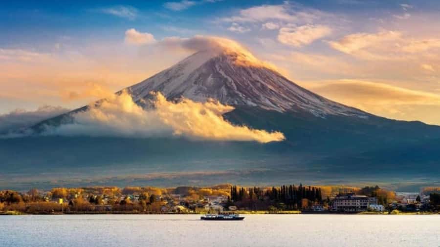 From Tokyo : Mount Fuji Private Day Tour with English Driver - Value Check: Is $313 Per Group Worth It?