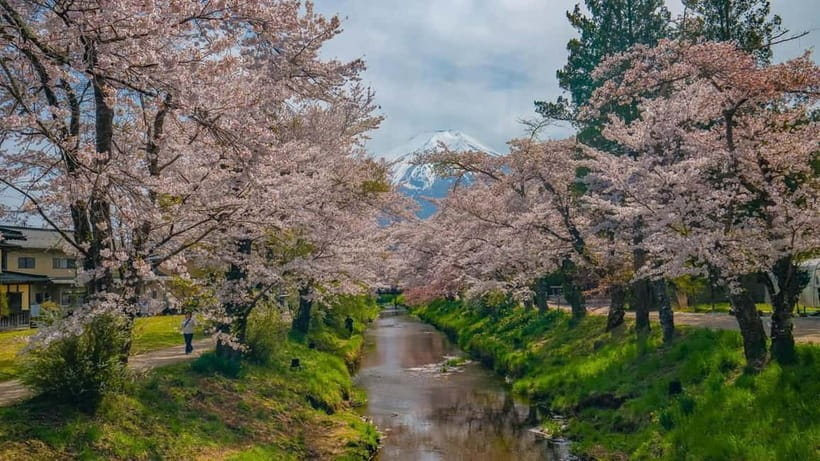 From Tokyo: Mount Fuji Private Tour with a Driver/Guide - Key things that make this tour worth your attention