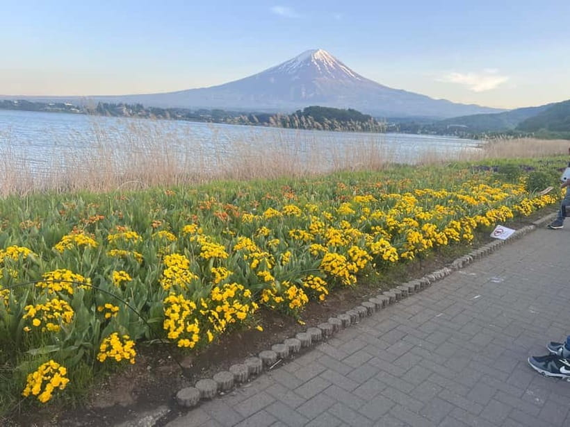 From Tokyo: Mount Fuji Private Tour with a Driver/Guide - The Core Route: How Each Stop Builds the Fuji Experience