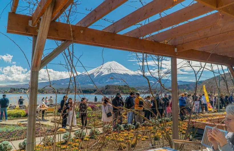 From Tokyo: Mount Fuji Private Tour with a Driver/Guide - What the Driver-Guide Adds (When It’s Excellent, It Shows)