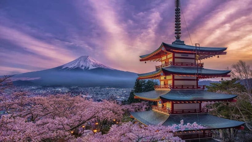 From Tokyo: Mount Fuji Private Tour With English Guide - A private Fuji day that feels organized, not rushed