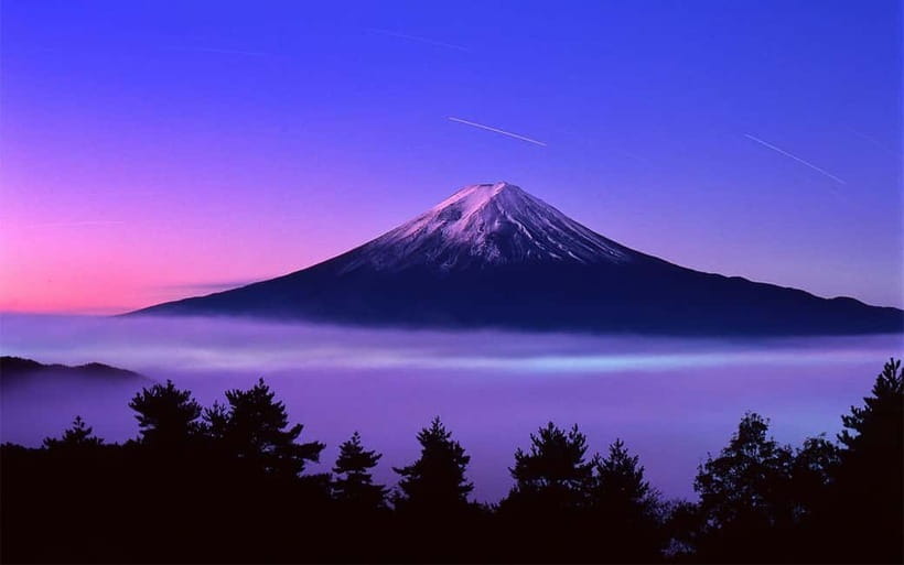 From Tokyo: Mount Fuji Private Tour With English Guide - Starting point: choosing Ueno or Tokyo, then settling in