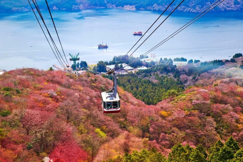 From Tokyo: Mount Fuji Private Tour With English Guide - Chureito Pagoda: the Fuji postcard moment, with a real-time payoff