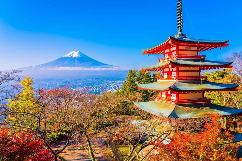 From Tokyo: Mount Fuji Private Tour With English Guide - Oishi Park and the Lawson Kawaguchiko Station photo stop