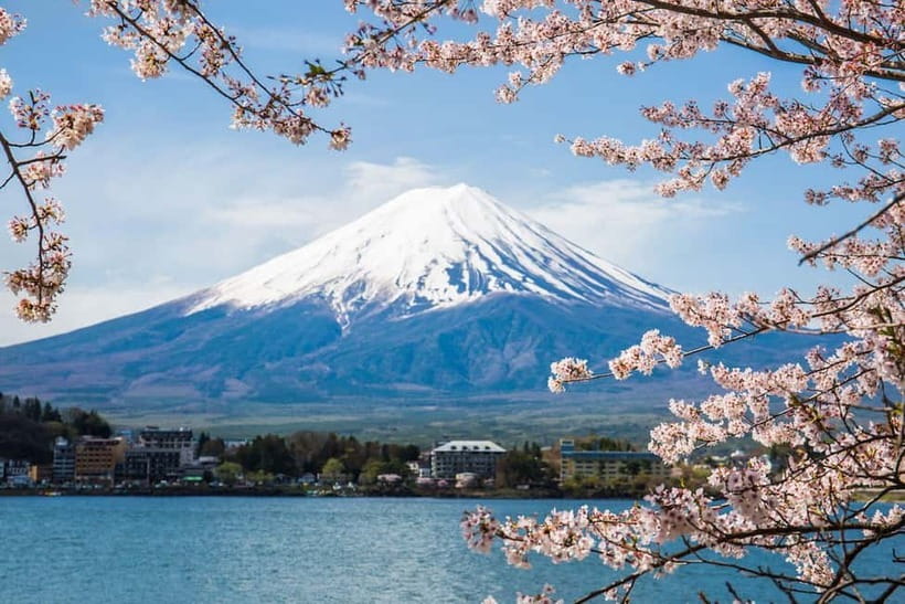 From Tokyo: Mount Fuji Private Tour With English Guide - Price and what you’re really paying for (and getting back)
