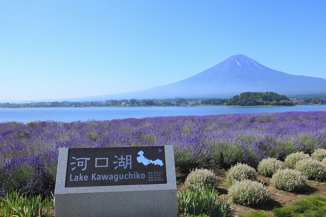 From Tokyo: Mount Fuji Sightseeing Full Day Trip - Saiko Iyashi-no-Sato Nenba: thatched roofs and calm Lake Saiko energy
