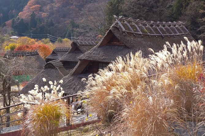 From Tokyo: Mount Fuji Sightseeing Full Day Trip - Weather and timing: why a cloudy day changes everything