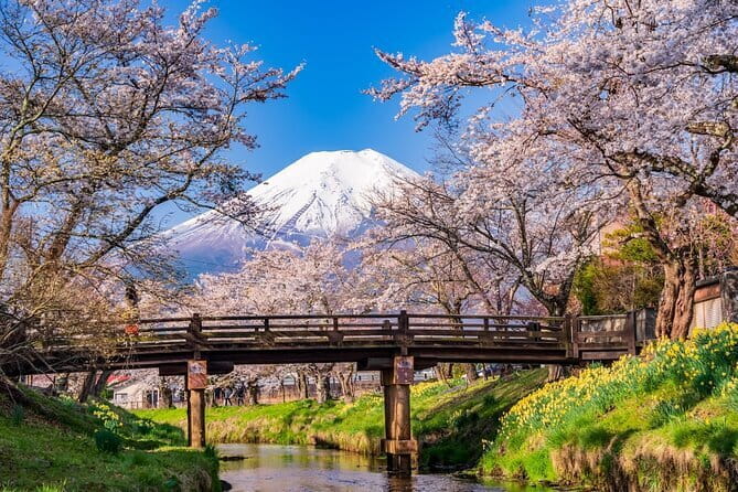 From Tokyo: Mount Fuji Sightseeing One Day Trip - Key Highlights at a Glance