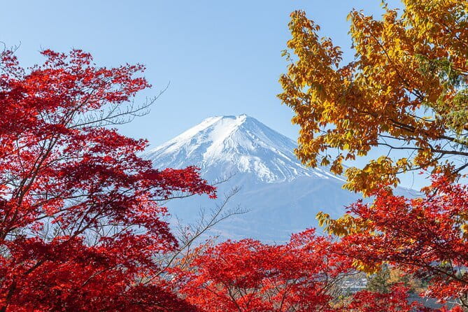 From Tokyo: Mount Fuji Sightseeing One Day Trip - Why This Fuji Day Trip Feels Easier Than DIY