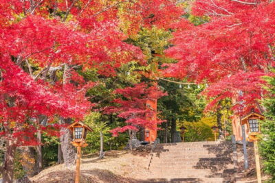 From Tokyo: Mount Fuji Sightseeing One Day Trip - Getting to the Fuji Region: The Bus Ride That Actually Matters