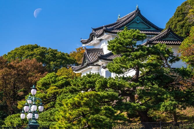 From Tokyo: Mount Fuji Sightseeing One Day Trip - Timing and Pace: When a 10-Hour Day Feels Rushed