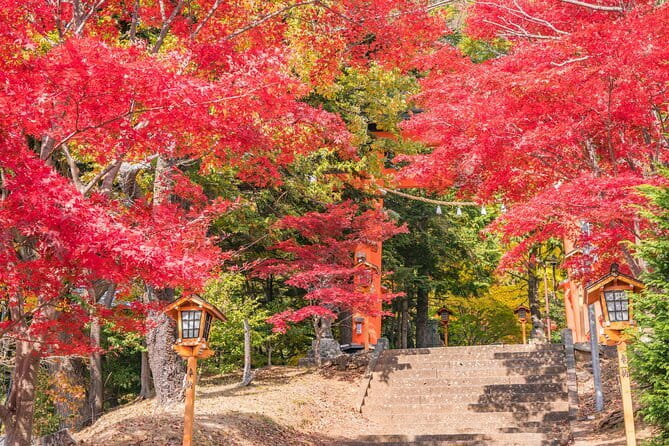 From Tokyo: Mount Fuji Sightseeing One Day Trip - Getting to the Fuji Region: The Bus Ride That Actually Matters