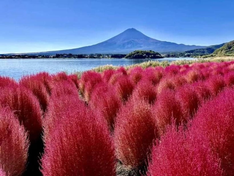 From Tokyo: Mt. Fuji 5th station and Oshino Hakkai Day Trip - Mt. Fuji 5th Station: The Highest Stop You Can Reach Easily