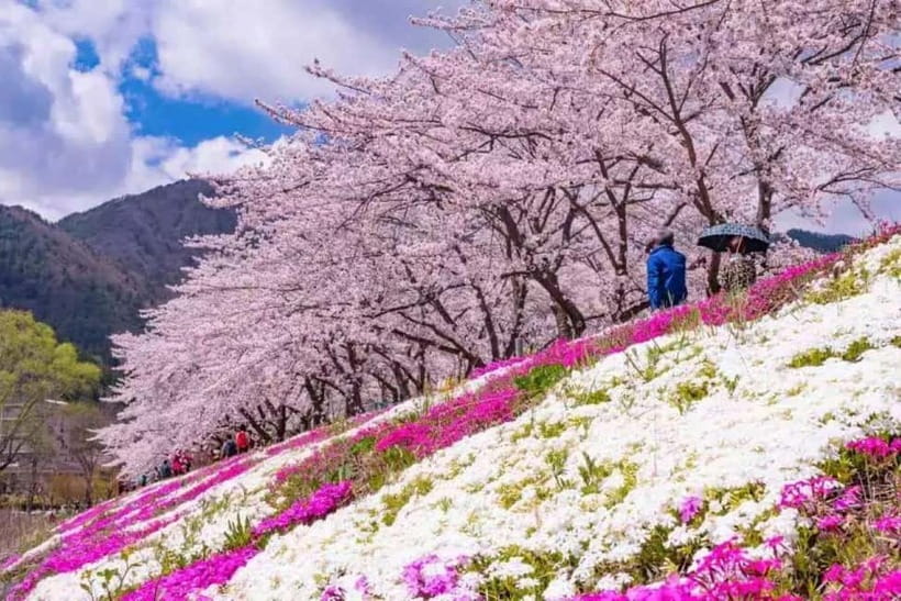From Tokyo: Mt. Fuji 5th station and Oshino Hakkai Day Trip - The Day’s Pace and Comfort: A Luxury Vehicle Ride That Still Moves