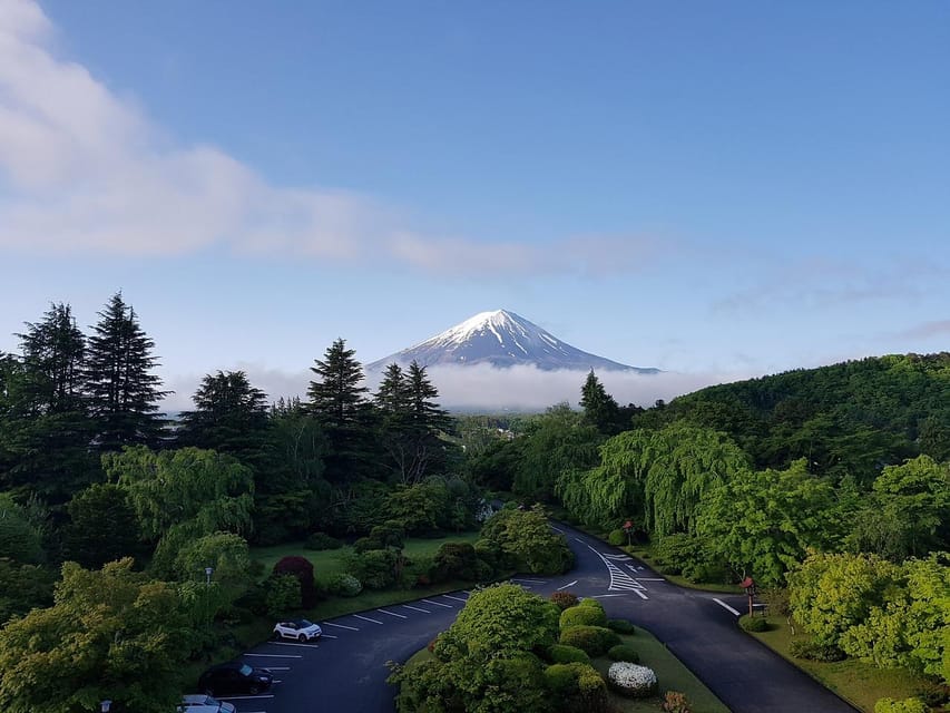 From Tokyo: Mt. Fuji And Hakone Private Sightseeing Day Trip - Key highlights that make this day trip work
