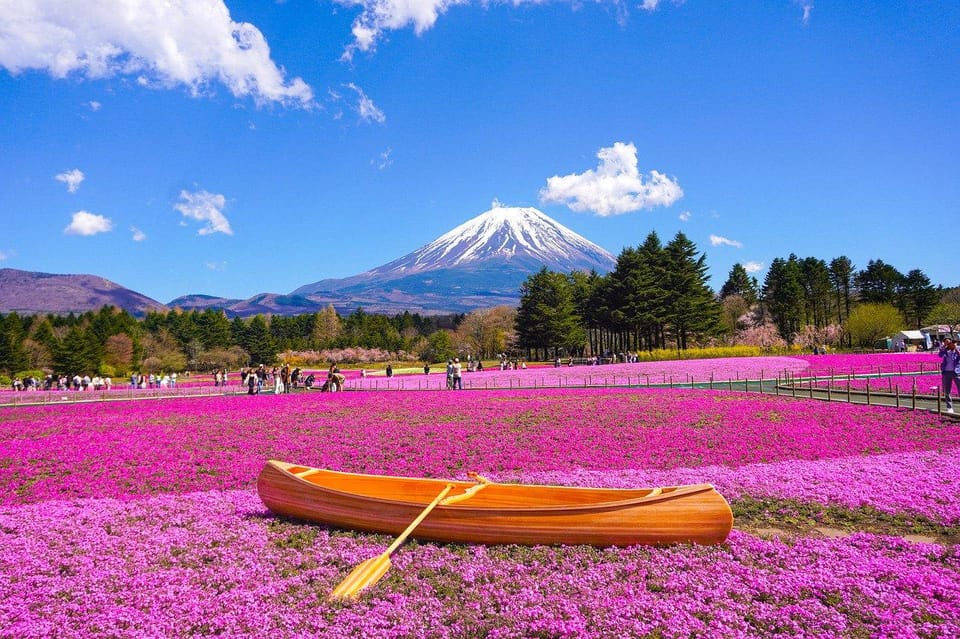 From Tokyo: Mt. Fuji And Hakone Private Sightseeing Day Trip - Lake Kawaguchiko: ropeway deck views plus a boat option