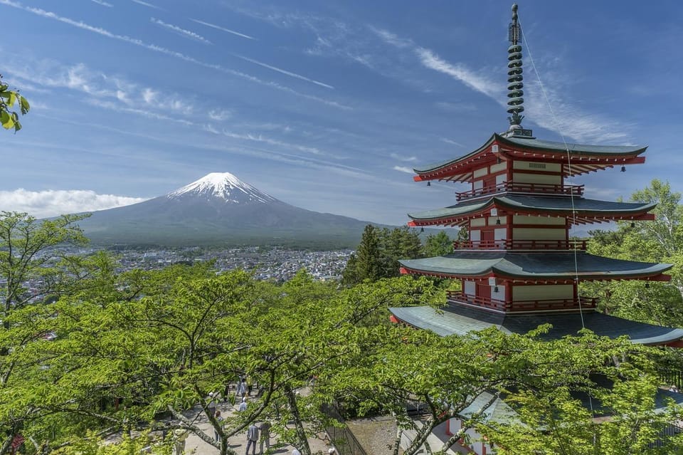 From Tokyo: Mt. Fuji And Hakone Private Sightseeing Day Trip - Oishi Park: flower-and-view timing that doesn’t feel rushed