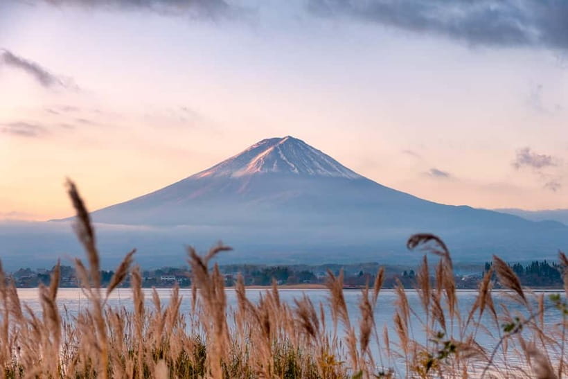 From Tokyo: Mt.Fuji & Gotemba Private Customizable Day Trip. - Private Mt. Fuji + Gotemba: How This Day Stays Flexible