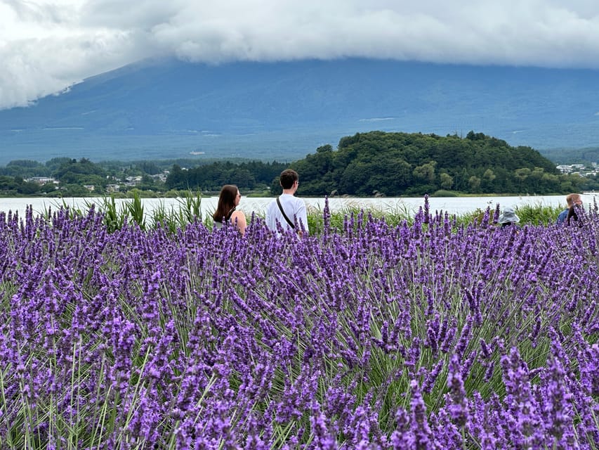From Tokyo: Mt.Fuji & Gotemba Private Customizable Day Trip. - Practical Tips: What to Pack and What to Plan For