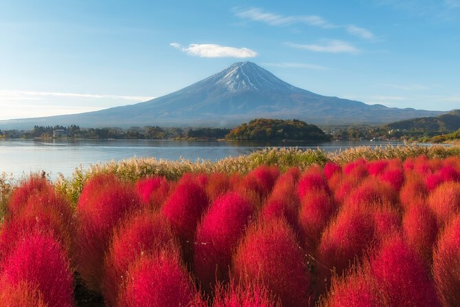 From Tokyo Mt.Fuji, Lake Kawaguchi, Makaino Farm day tour - Price and what you actually get for $84.70