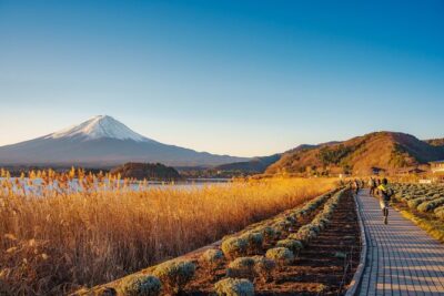 From Tokyo Mt.Fuji, Lake Kawaguchi, Makaino Farm day tour - Meet point at Tokyo Station: how to avoid first-stop stress