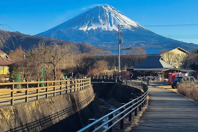 From Tokyo Mt.Fuji, Lake Kawaguchi, Makaino Farm day tour - Stop 2: Saiko Iyashi no Sato Nemba for thatched-village atmosphere