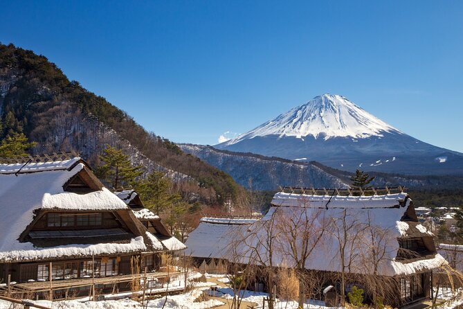 From Tokyo Mt.Fuji, Lake Kawaguchi, Makaino Farm day tour - Stop 3: Makaino Farm for animals, dairy treats, and mountain views