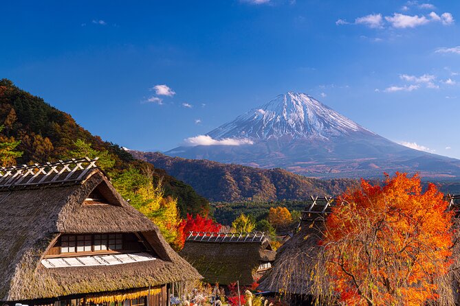 From Tokyo Mt.Fuji, Lake Kawaguchi, Makaino Farm day tour - Weather reality: why your Mt. Fuji day depends on conditions
