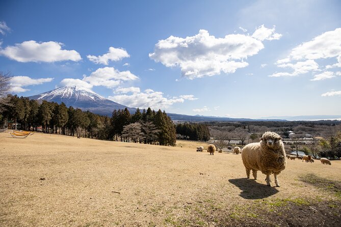 From Tokyo Mt.Fuji, Lake Kawaguchi, Makaino Farm day tour - What to plan for: lunch, timing, and small comfort wins