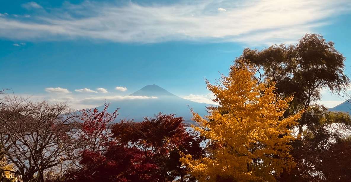 From Tokyo: Mt.Fuji, Tea Ceremony & Outlet Shopping Day Tour - The Shinjuku-to-Fuji Day Rhythm: What a 10-Hour Tour Feels Like
