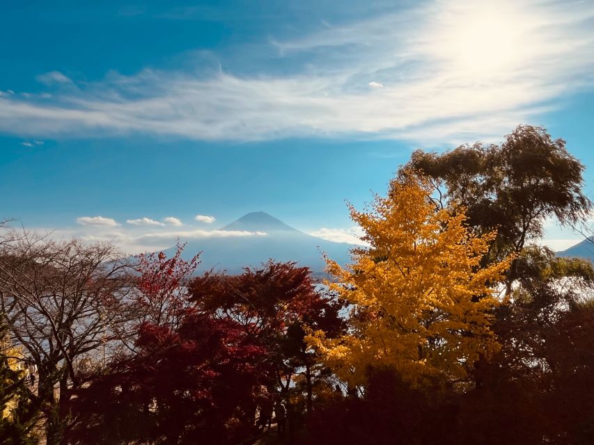 From Tokyo: Mt.Fuji, Tea Ceremony & Outlet Shopping Day Tour - Lake Kawaguchi: Photos by the Water, Tea Culture at Shikido
