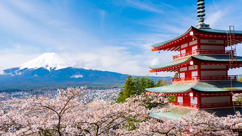From Tokyo: Mt.Fuji, Tea Ceremony & Outlet Shopping Day Tour - Should You Book This Mount Fuji Day Tour?