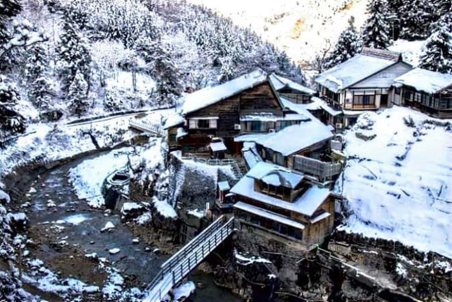 From Tokyo: Nagano Full Day Private Snow Monkey Park Tour - The Miso Brewery Stop: Umami With a Backstory