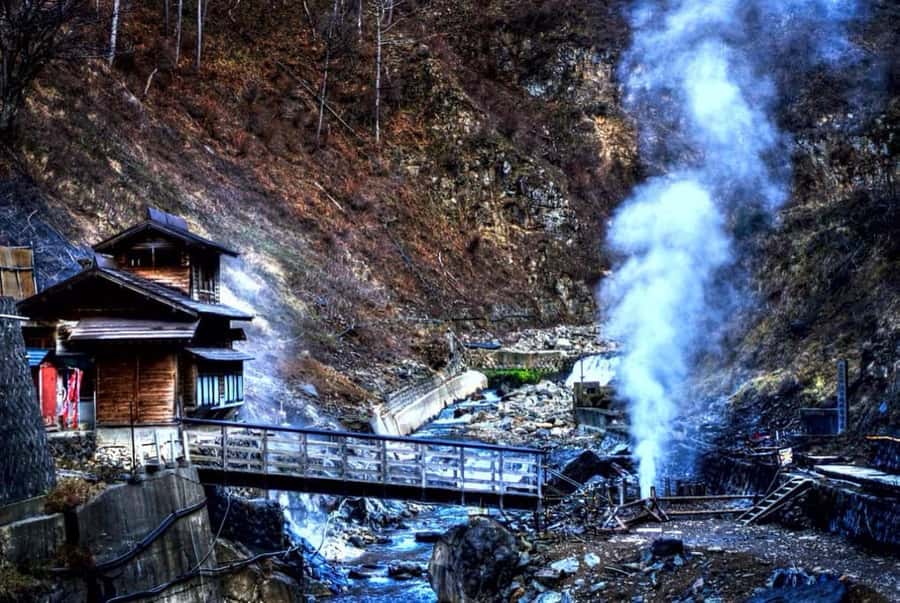 From Tokyo: Nagano Full Day Private Snow Monkey Park Tour - Customizing the Itinerary for Your Group