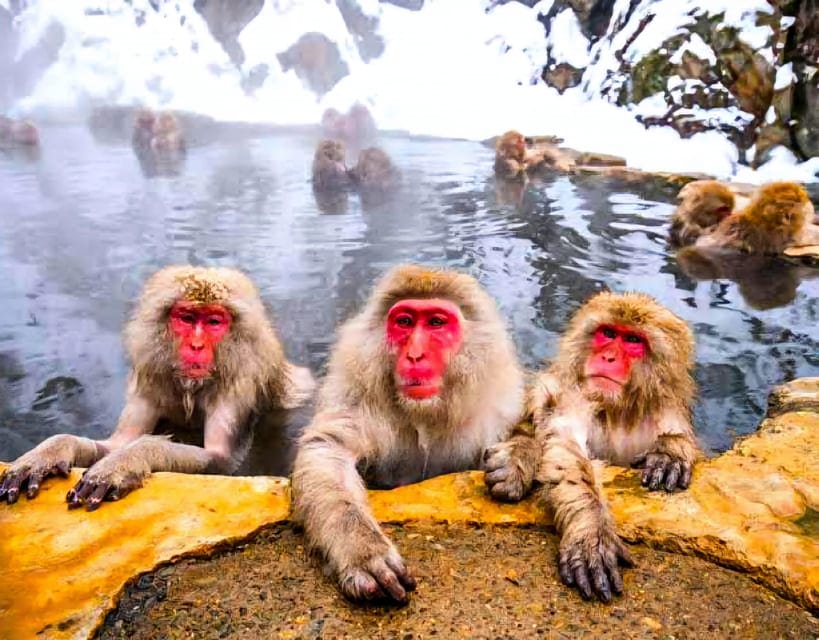 From Tokyo: Nagano Snow Monkey Park Zenkoji Temple Day Trip - Shibu Onsen: The Planned Warm-Up After Winter Walking