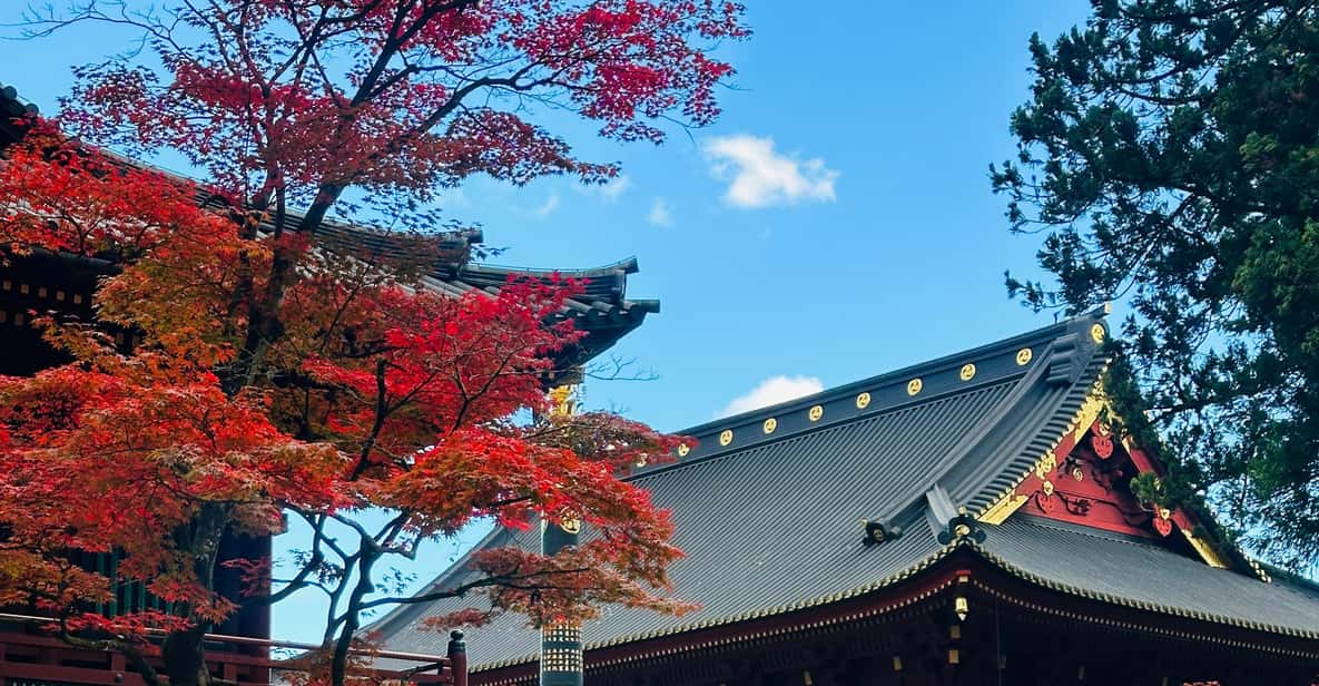 From Tokyo: Nikko Customize private Tour With English Driver - How This Private Nikko Day Trip From Tokyo Really Works