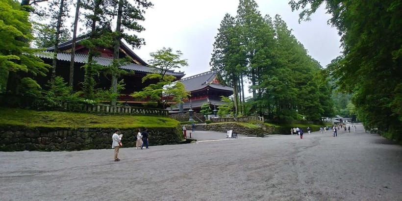 From Tokyo: Nikko Customize private Tour With English Driver - Who This Tour Suits Best (And Who Should Skip It)