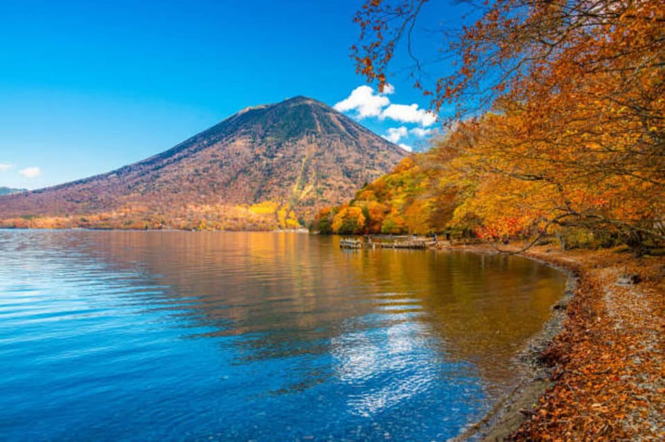 From Tokyo: Nikko Toshogu Day tour with Traditional Lunch - Entering Nikko Toshogu: what the 1.5 hours is really for