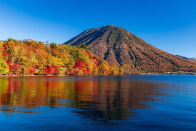 From Tokyo: Nikko Toshogu Shrine and Kegon Waterfall Tour - Price and what you actually get for $77.75