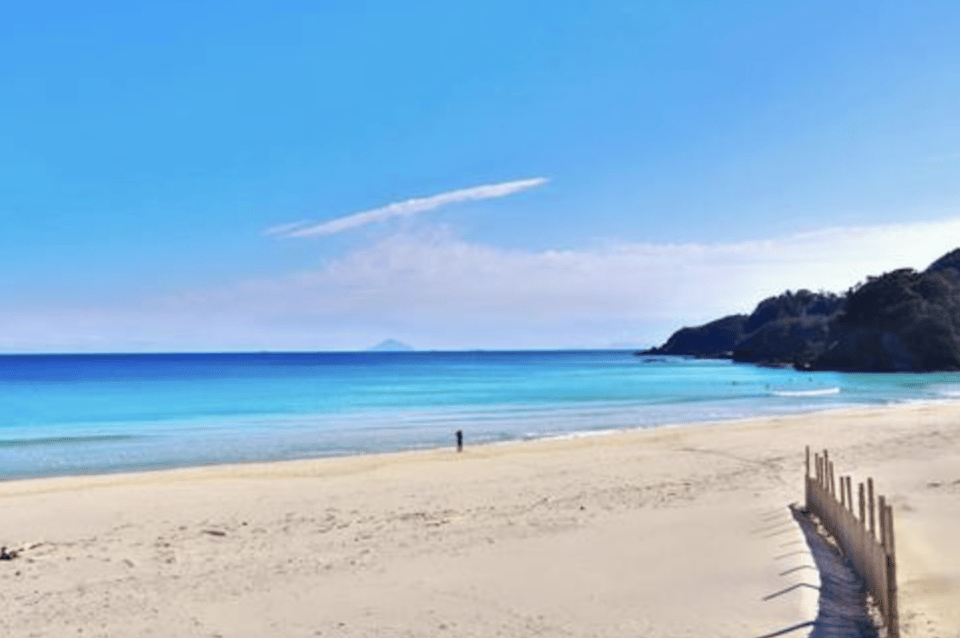 From Tokyo: Private Day Trip to Izu & Shimoda, Shizuoka - Key Points Before You Go