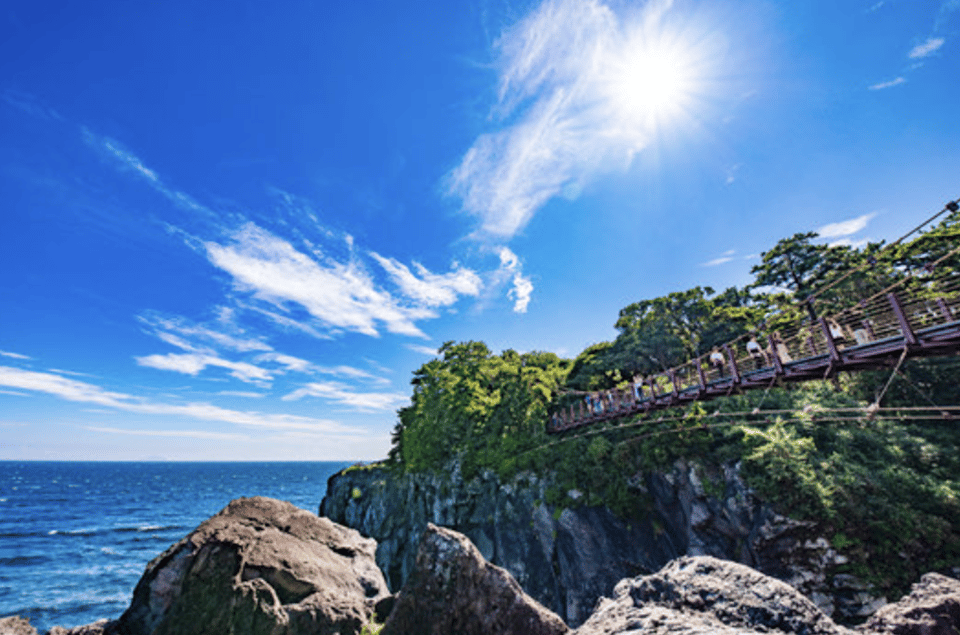 From Tokyo: Private Day Trip to Izu & Shimoda, Shizuoka - Ryosenji Temple: The Treaty of Amity and Commerce Story in Real Place