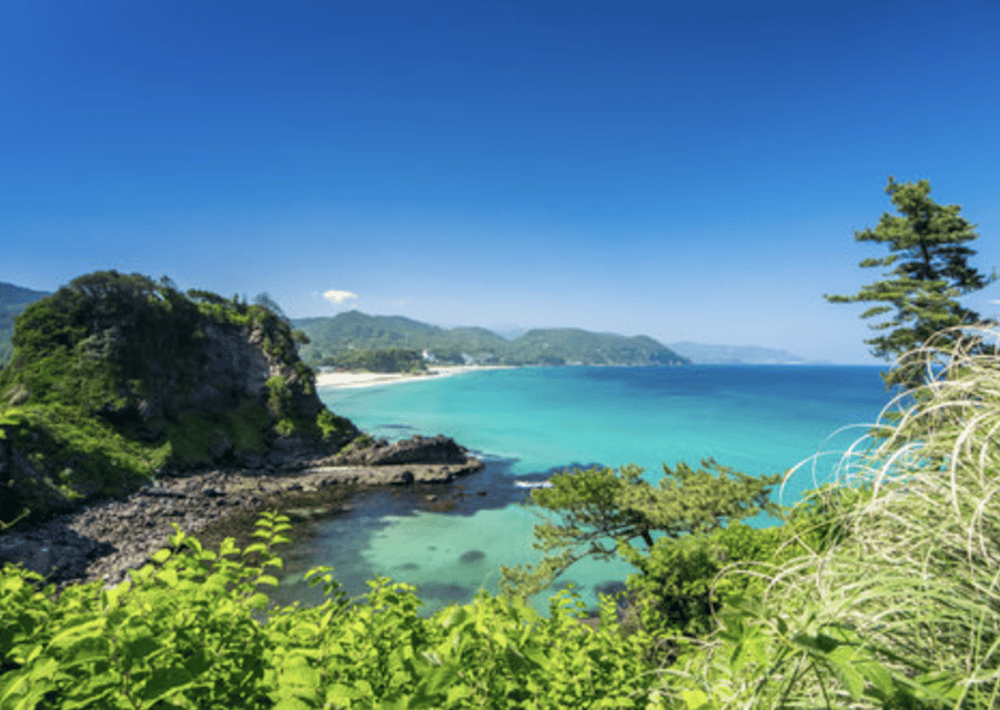 From Tokyo: Private Day Trip to Izu & Shimoda, Shizuoka - Shirahama Beach: White Sand and Clear Water Time