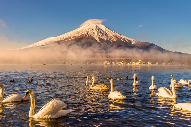 From Tokyo: Private Day Trip to Mount Fuji & Fuji Five lakes - Key points to know before you go