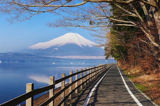 From Tokyo: Private Day Trip to Mount Fuji & Fuji Five lakes - The Fuji Five Lakes loop: a photo-friendly circuit