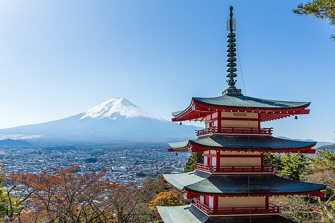 From Tokyo: Private Day Trip to Mount Fuji & Fuji Five lakes - Price and logistics: what you’re really paying for